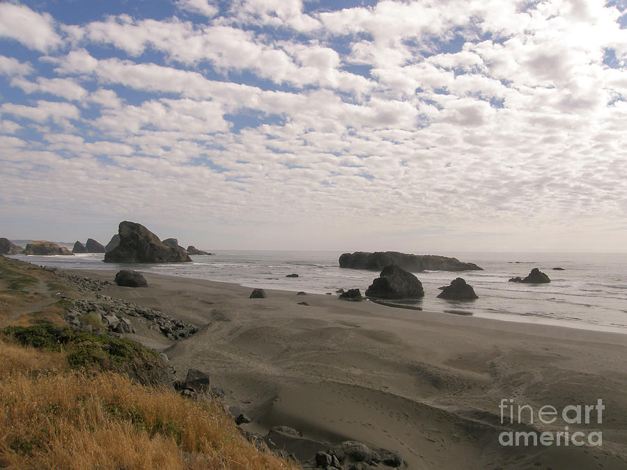 Oregon Monoliths Photograph by Bryan Neuswanger - Fine Art America