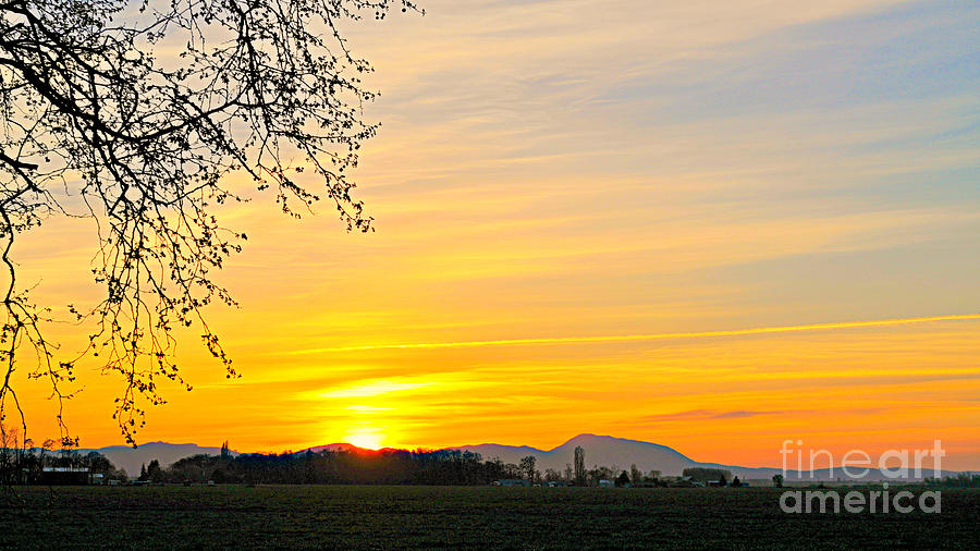 Oregon Orange Sunset Photograph by Mindy Bench - Pixels