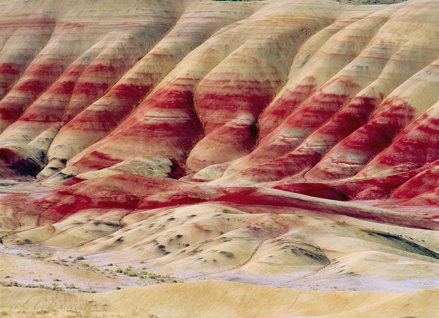 Oregon Painted Hills Photograph by Anonymous