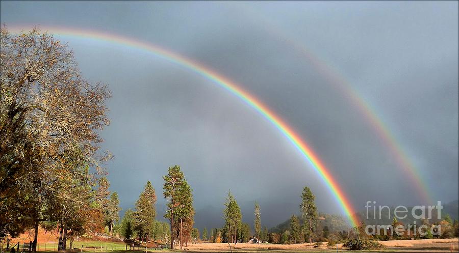 Oregon Rain Photograph by Julia Hassett