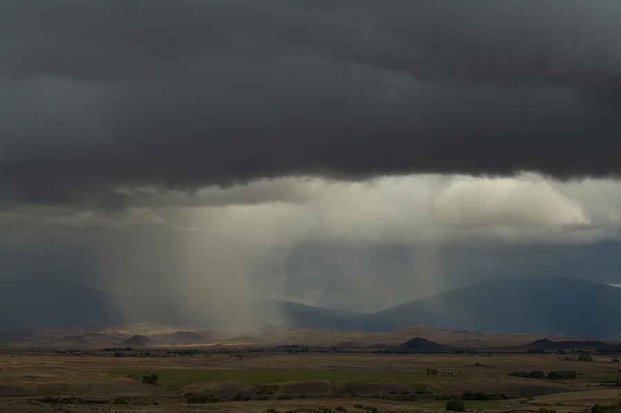 Oregon Rain Photograph by Suzanne Lorenz