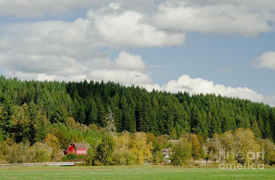 Tree Photograph - Oregon Rural Landscape by Nick Boren