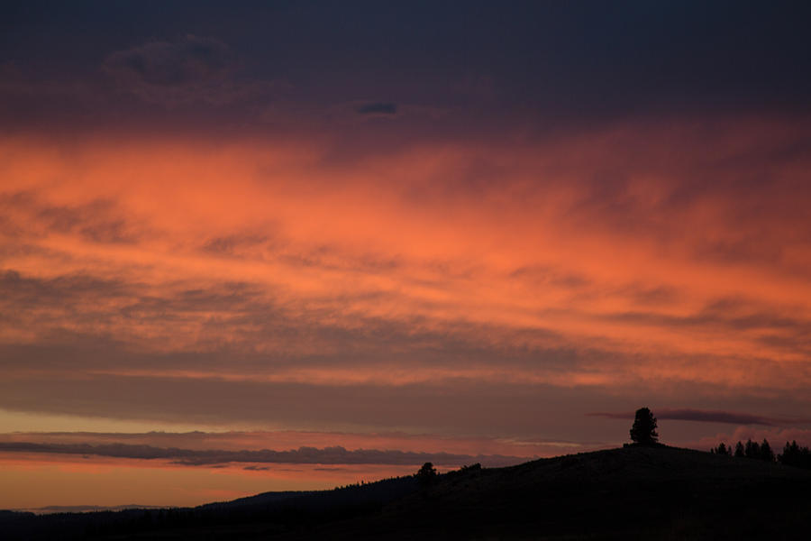 Oregon Sunset Photograph by Ryan Heffron