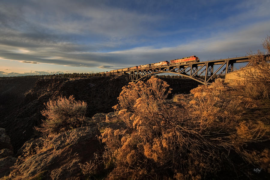 Bridge Photograph - Oregon Trunk RR by Everet Regal