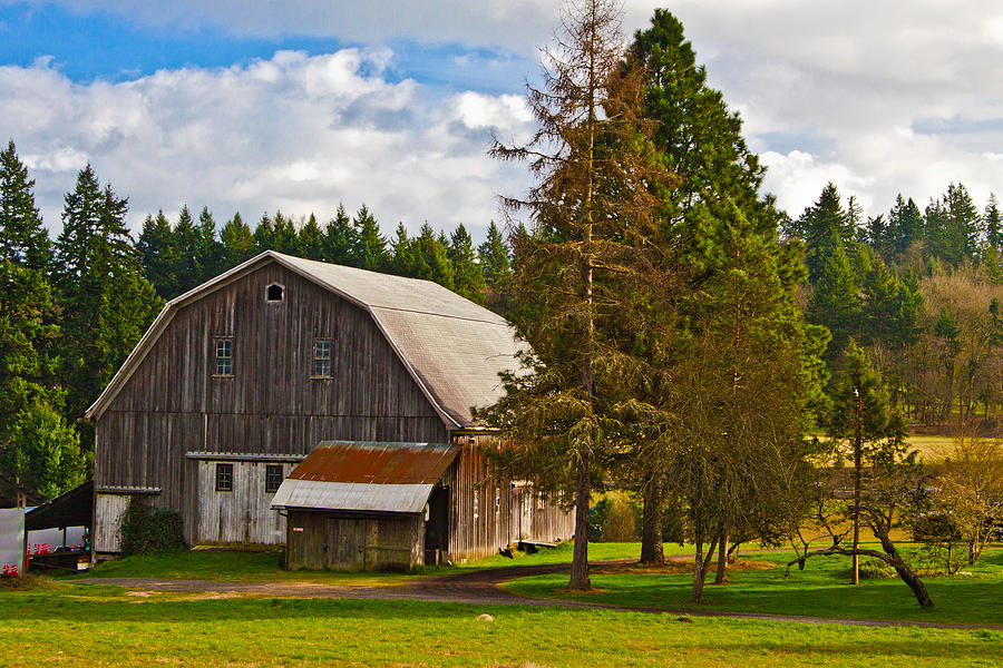 Oregon Tualatin Photograph by Marvin Mast Fine Art America