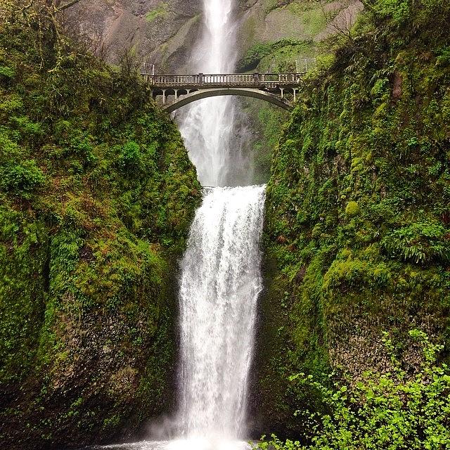 Nature Photograph - #oregon #water #waterfalls #waterfall by Kerri Ann McClellan