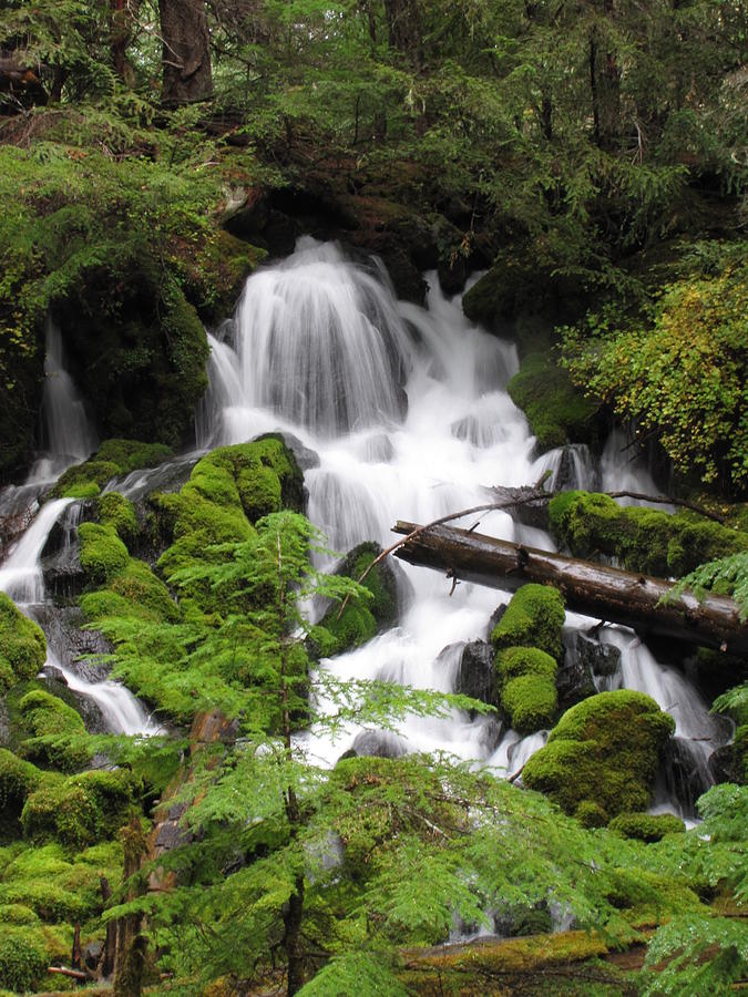 Oregon Waterfall Photograph by KATIE Vigil