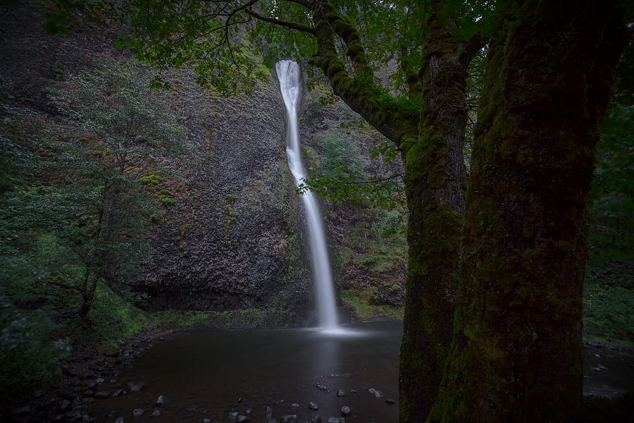 Oregon Waters Photograph by Ryan Heffron