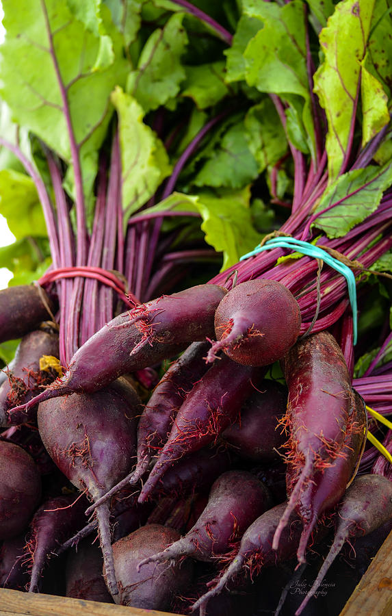 Organic Baby Beet Bunches Photograph by Julie Palencia