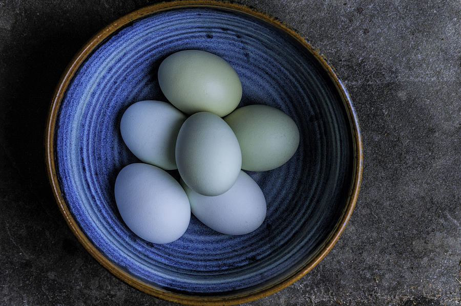 Egg Photograph - Organic Blue Eggs by Stoney Stone