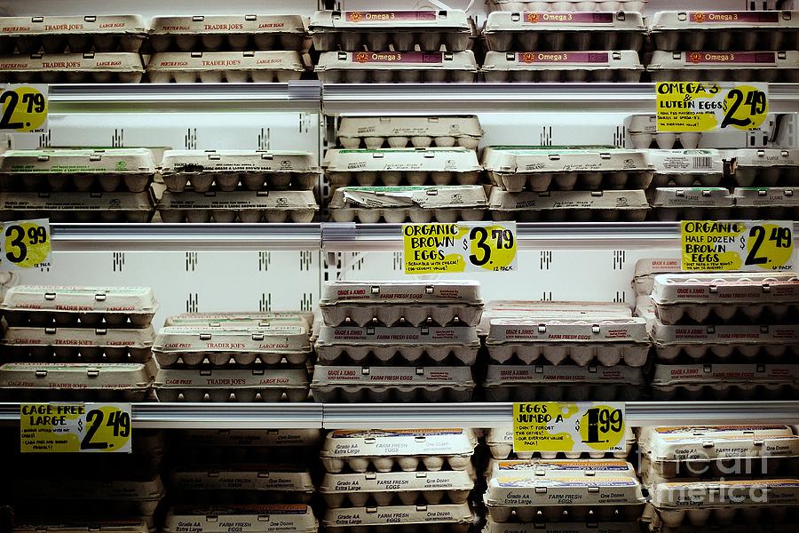 Organic Brown Eggs Photograph