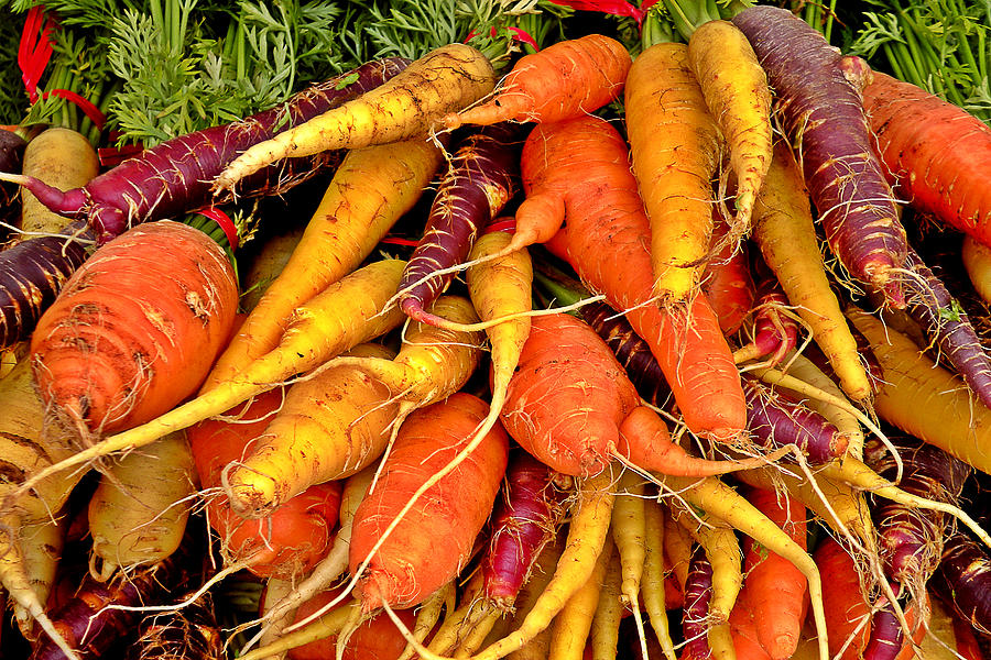 Vegetable Photograph - Organic Carrots by Brian Chase