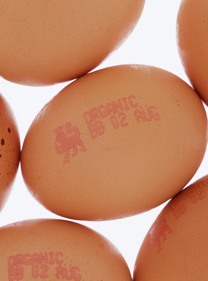 Organic Eggs Photograph by Adrienne Hart-davis/science Photo Library
