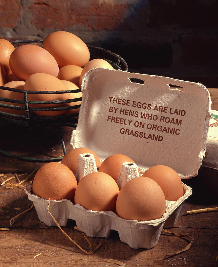 Organic Eggs Photograph by Sheila Terry/science Photo Library