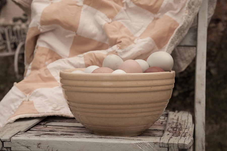 Organic Eggs Photograph by Toni Hopper