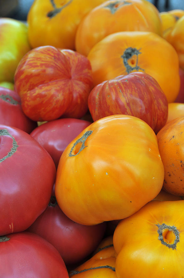 Organic Heirloom Tomatoes Photograph by Bonnie Sue Rauch