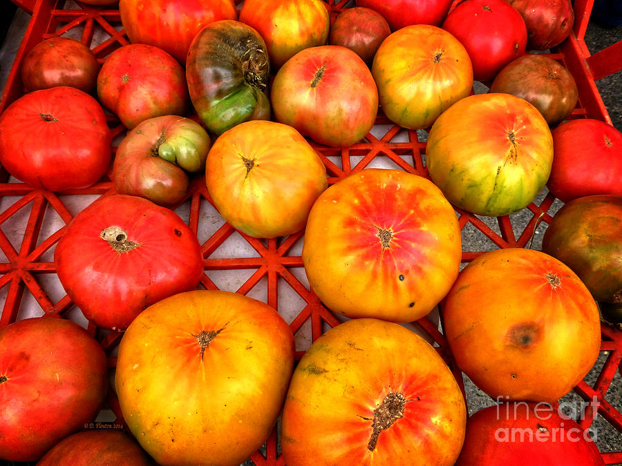 Organic Heirloom Tomatoes Photograph by Dee Flouton