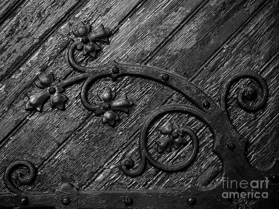 Organic Hinge - Black and White Photograph by James Aiken