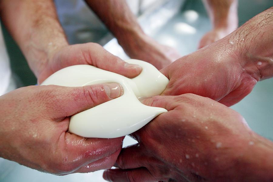 Organic Mozzarella Production Photograph by Mauro Fermariello/science ...