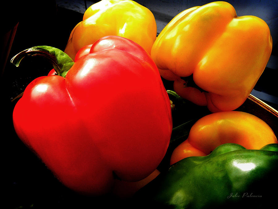 Organic Peppers Photograph by Julie Palencia