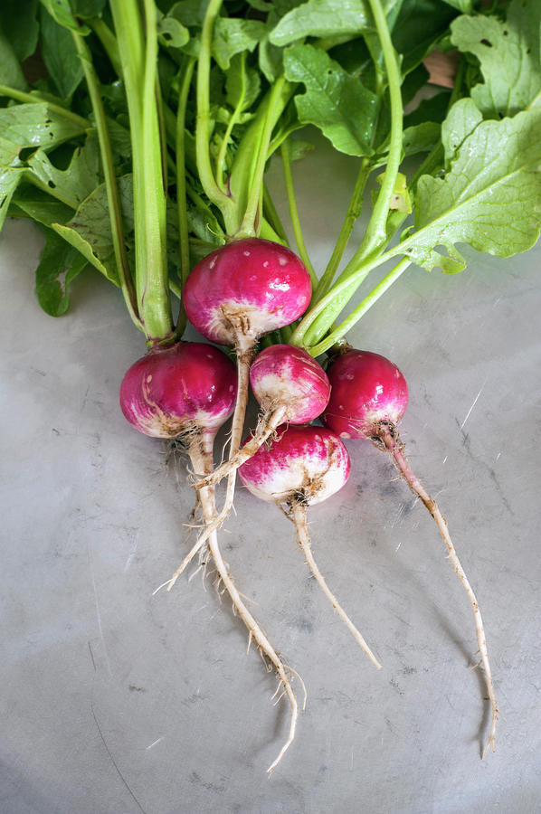 Organic Radishes, Close Up Photograph by Westend61