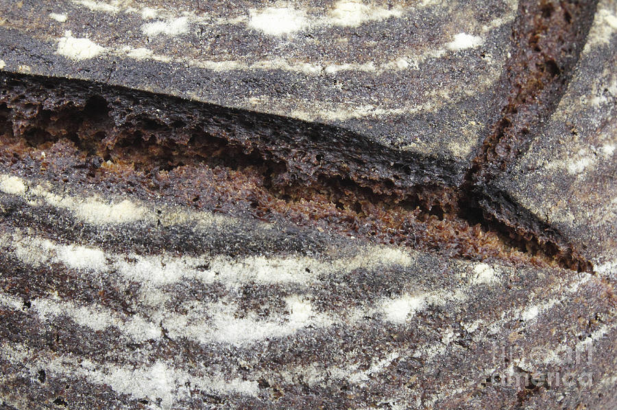 Organic Rye Bread Crust Photograph