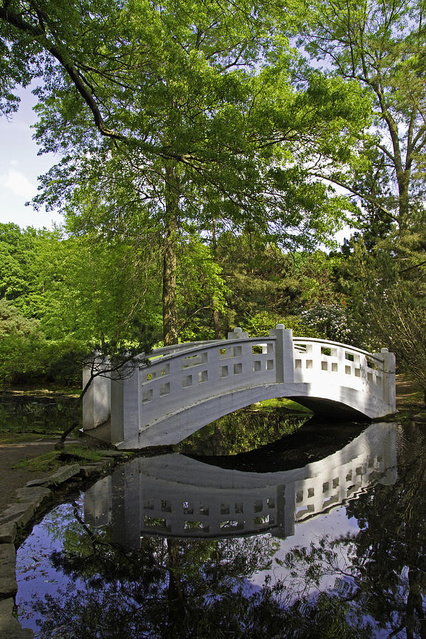 Oriental garden bridge Photograph by David Freuthal