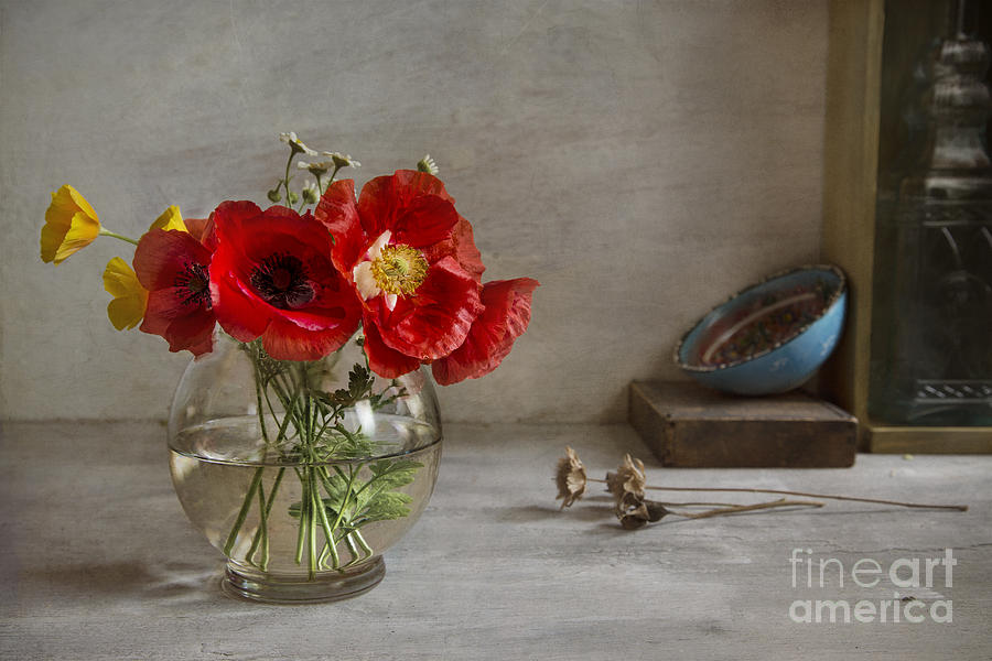 Nature Photograph - Oriental Poppies by Elena Nosyreva