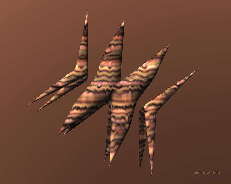Origami Boomerangs Digital Art by Judi Suni Hall