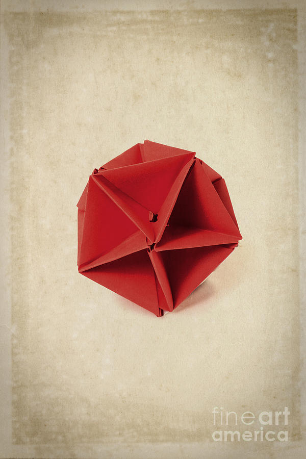 Origami  Photograph by Edward Fielding