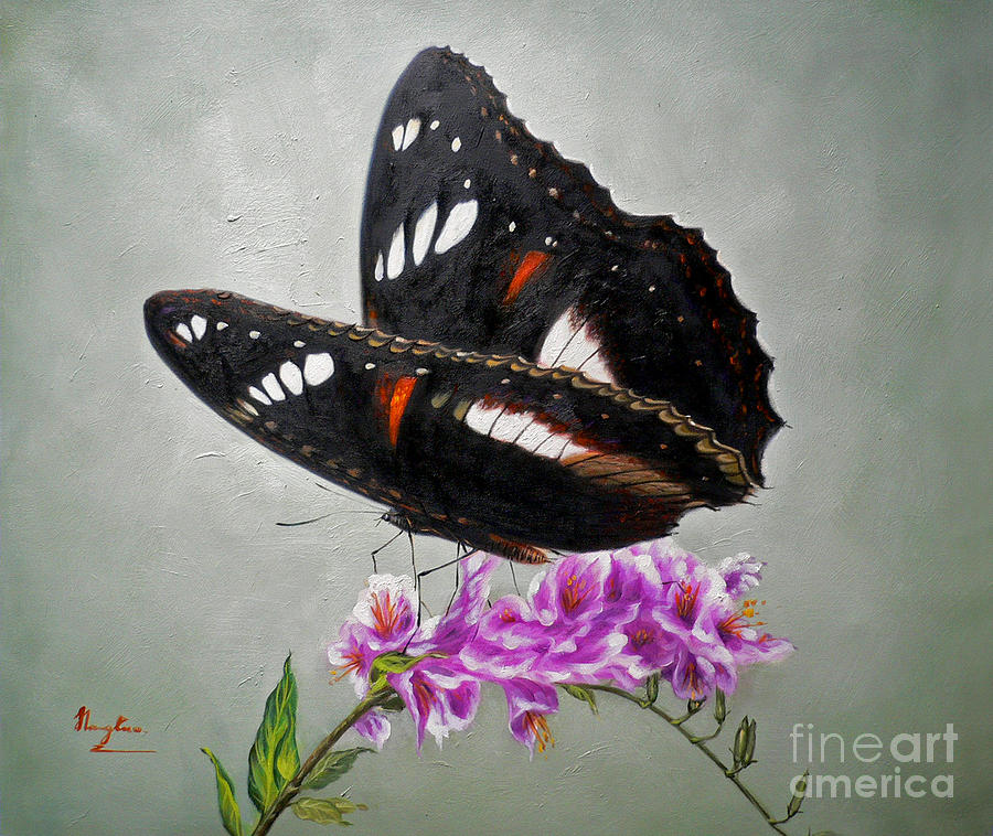 Original Animal Oil Painting Art-the Butterfly#16-2-1-09 Painting by Hongtao Huang