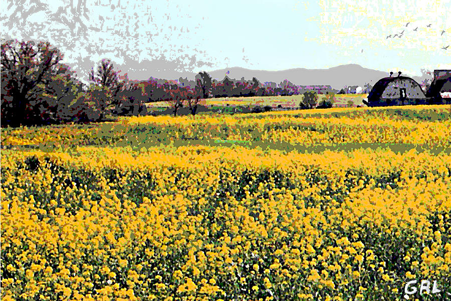 Original Fine Art Digital Fields Yellow Flowers Maryland Painting by G Linsenmayer