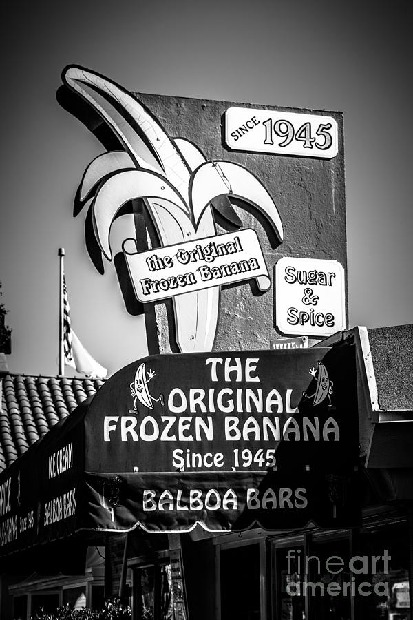 Original Frozen Banana Sign on Balboa Island Picture Photograph by Paul Velgos