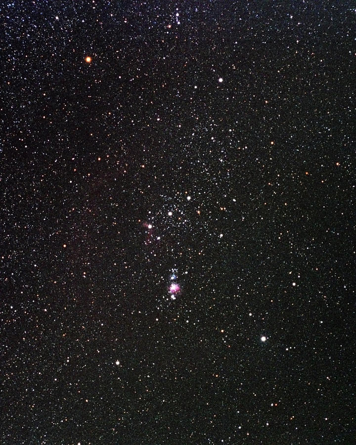 Orion Photograph by Alan Ley
