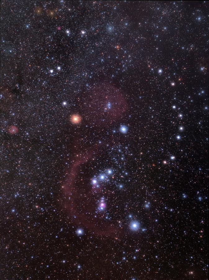 Astronomical Photograph - Orion Constellation by Tony & Daphne Hallas/s...