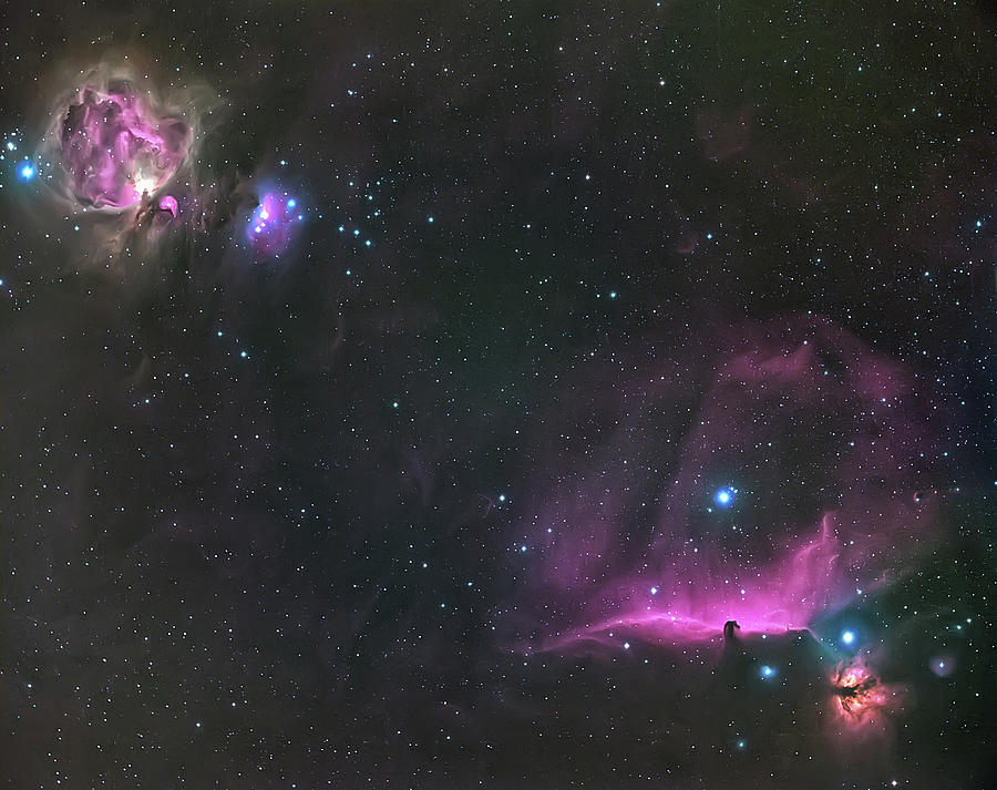 Space Photograph - Orion Nebula And The Horsehead by Andrea Auf Dem