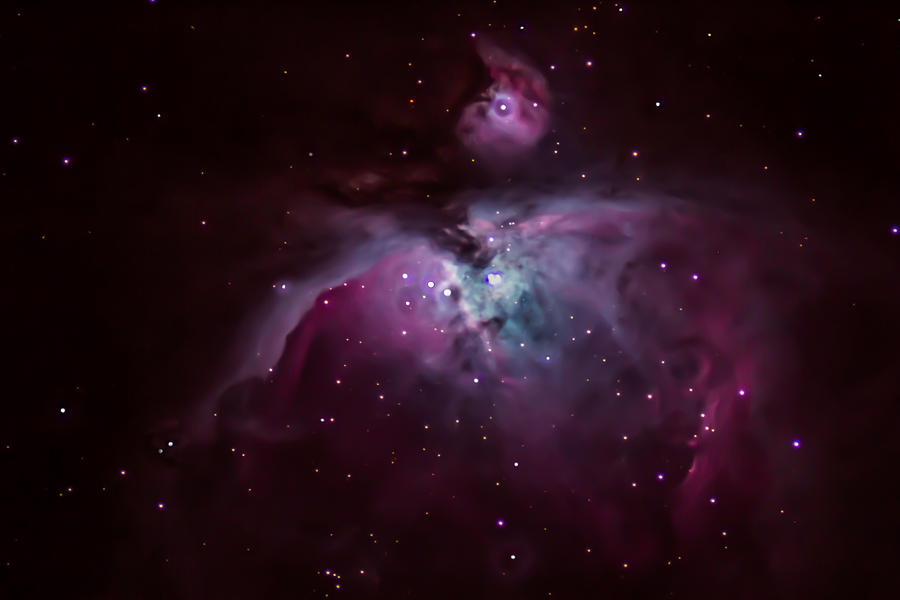 Orion Nebula Photograph by Jay Stockhaus