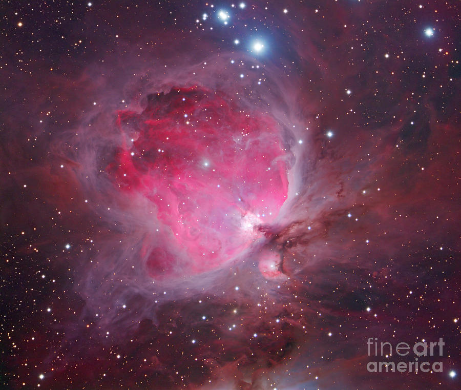 Orion Nebula M42 Photograph by Chris Cook