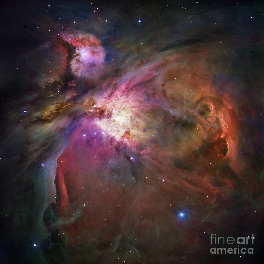 Orion Nebula Photograph by Nicholas Burningham