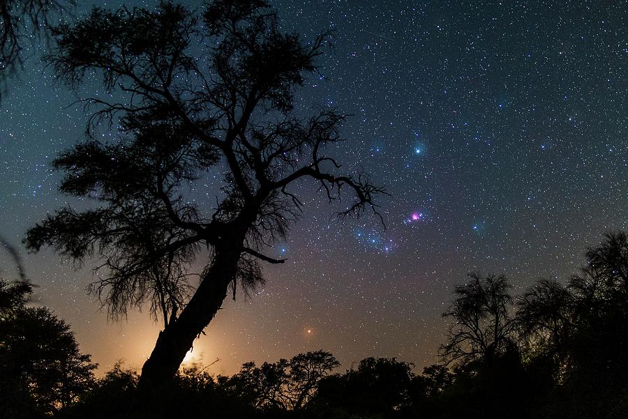 Orion Rising With The Moon In Namibia Photograph by Juan Carlos Casado (starryearth.com) / Science Photo Library