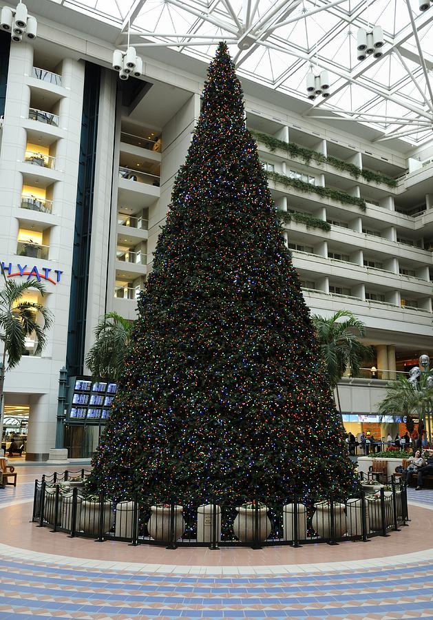 Orlando airport Christmas tree Photograph by Bradford Martin