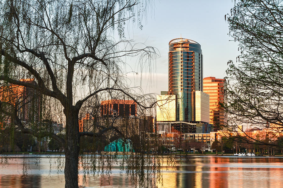 Orlando Downtown View From Lake Eola Photograph by Stefan Mazzola
