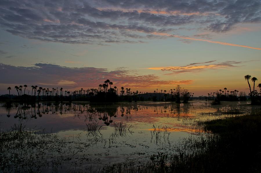 Orlando Sunrise Photograph by Brian Kamprath