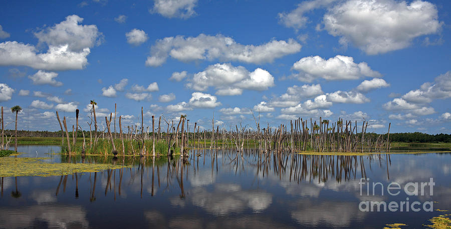 Orlando Photograph - Orlando Wetlands Cloudscape 3 by Mike Reid