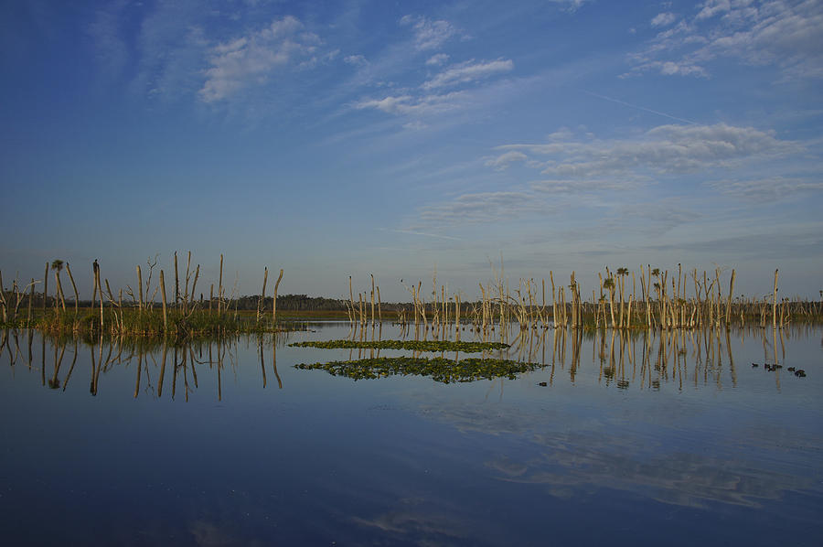 Orlando Wetlands Morning Photograph by Brian Kamprath