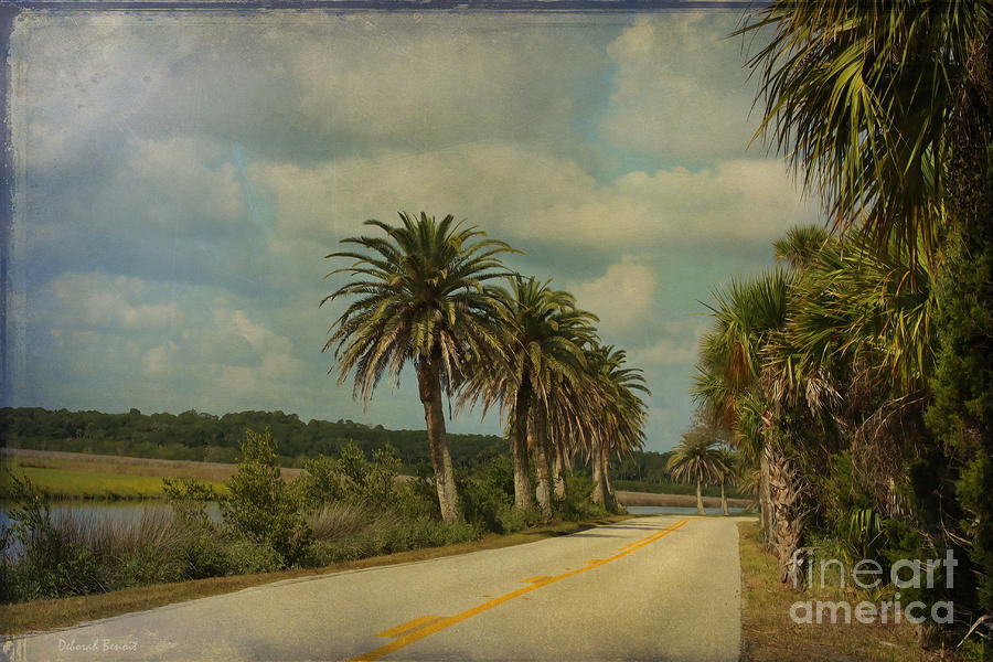 Florida Photograph - Ormond Beach Loop by Deborah Benoit