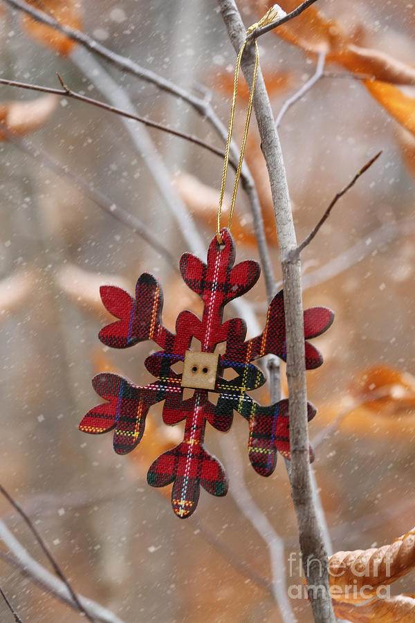 Ornament hanging on branch with snow falling Photograph by Sandra Cunningham