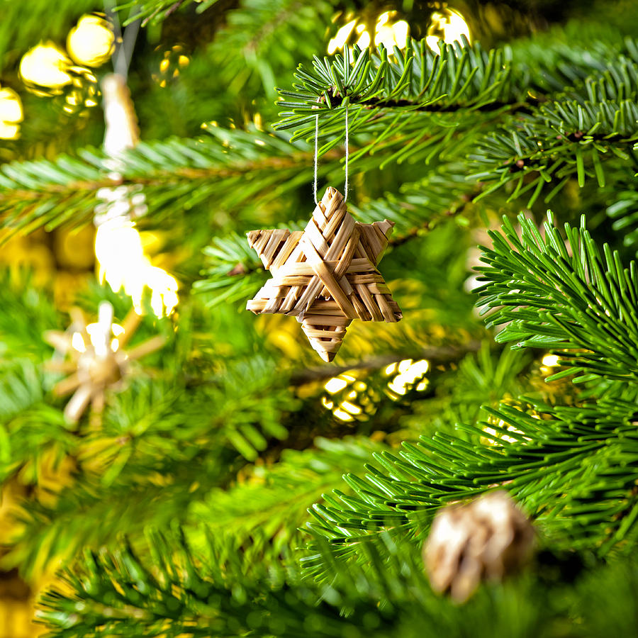 Ornament in a Christmas tree Photograph by U Schade