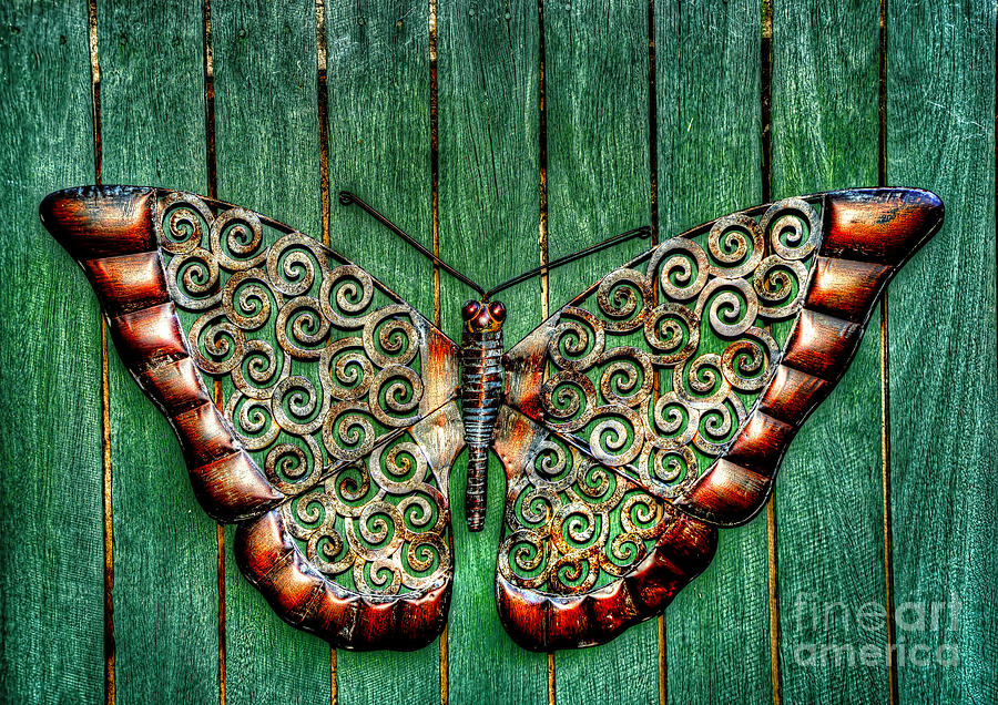 Ornamental Butterfly By Kaye Menner Photograph