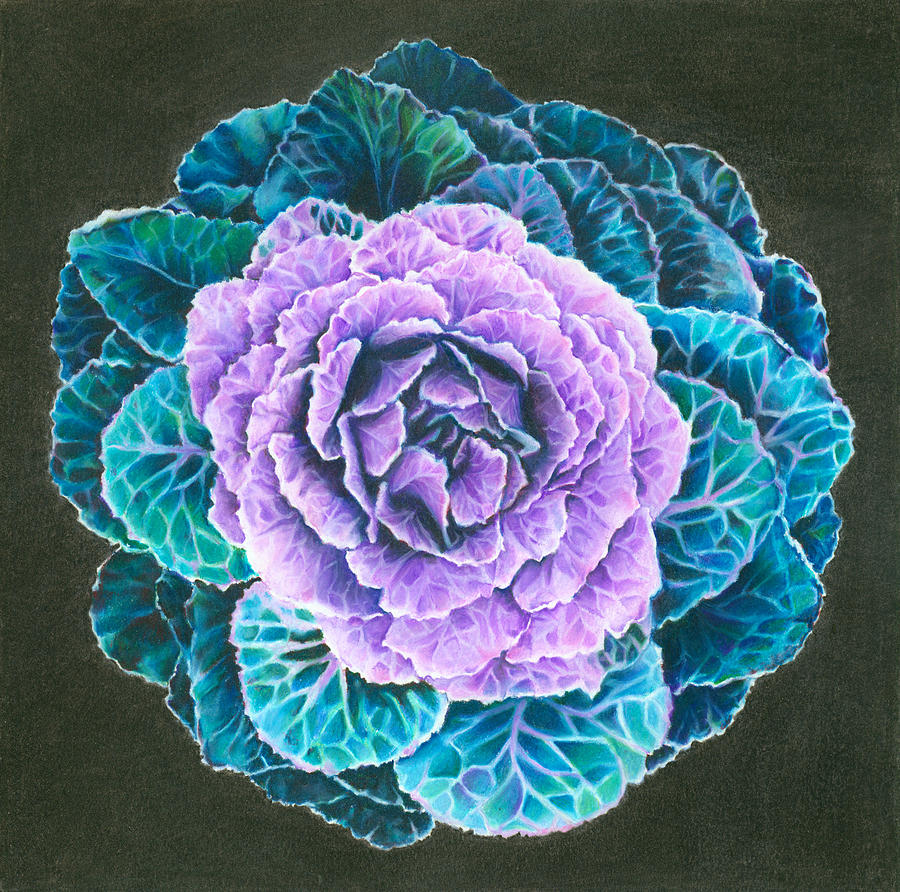 Ornamental Cabbage Painting by Mandy Robertson - Fine Art America